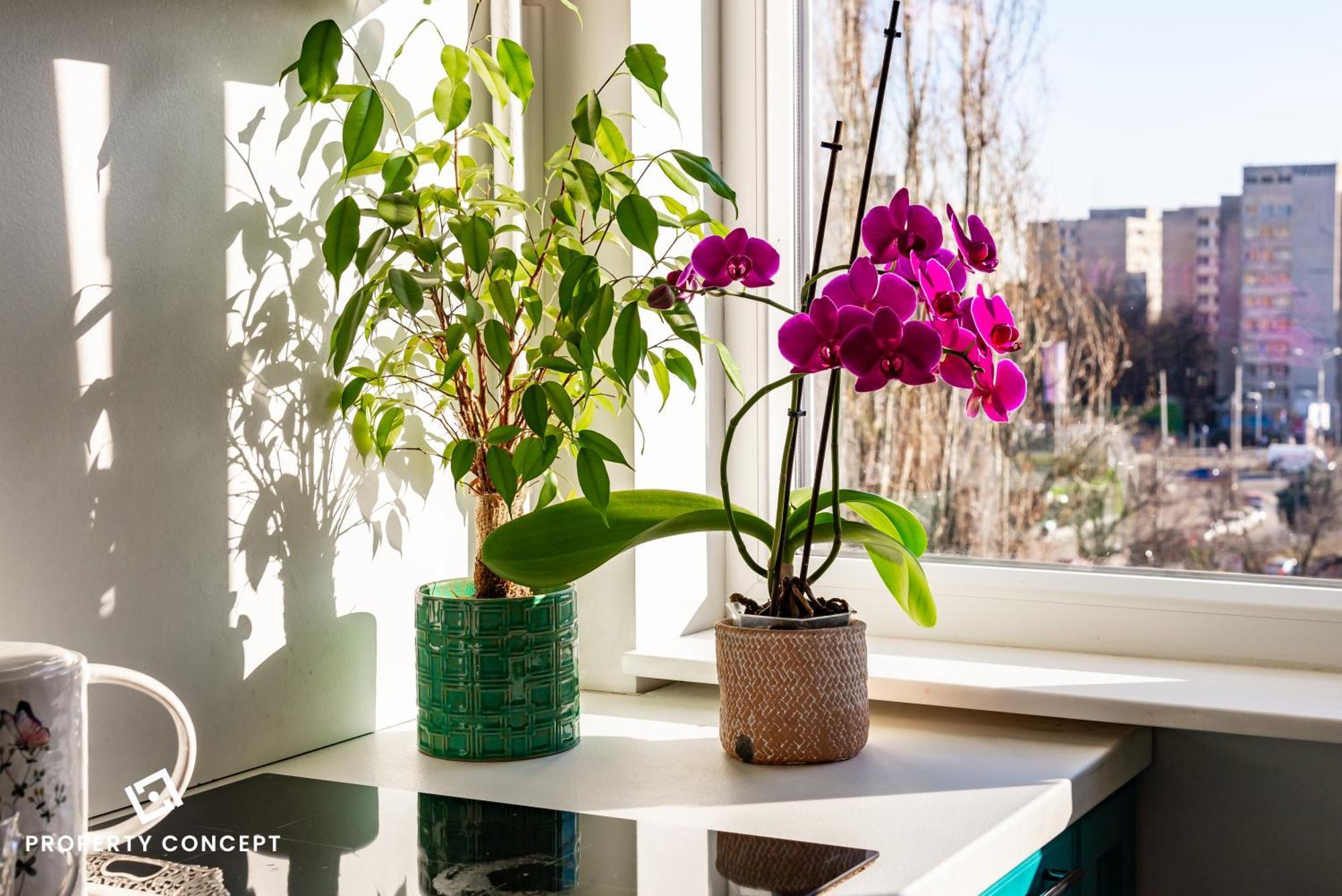 Apartment Blissful Retreat