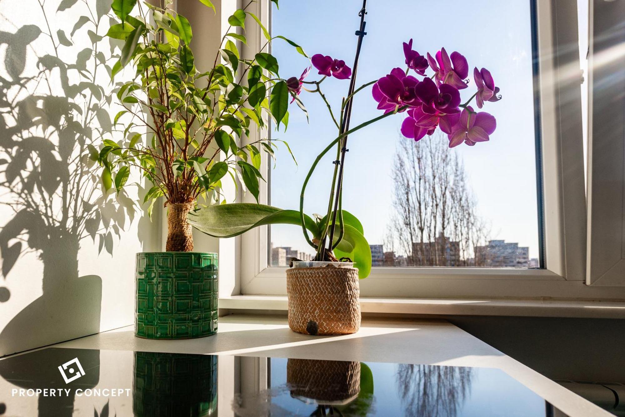 Blissful Retreat Apartment