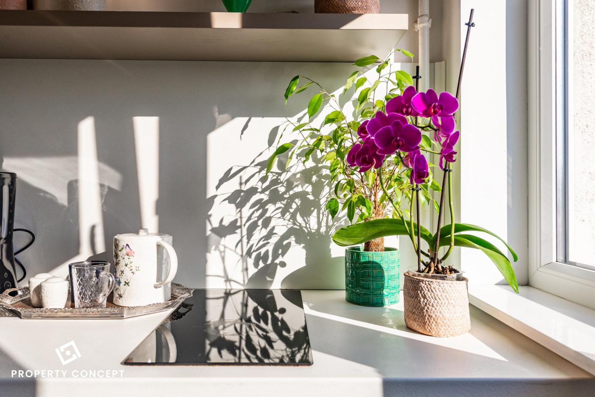 Apartment Blissful Retreat Bucharest